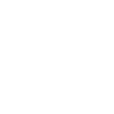 专业的营销团队